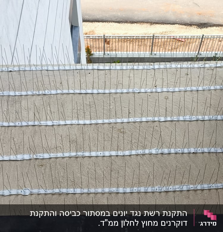 דוקרנים למניעת נחיתת יונים על גג